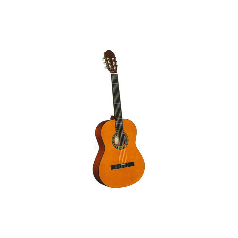 Guitare classique Skylark MCG950 avec etui