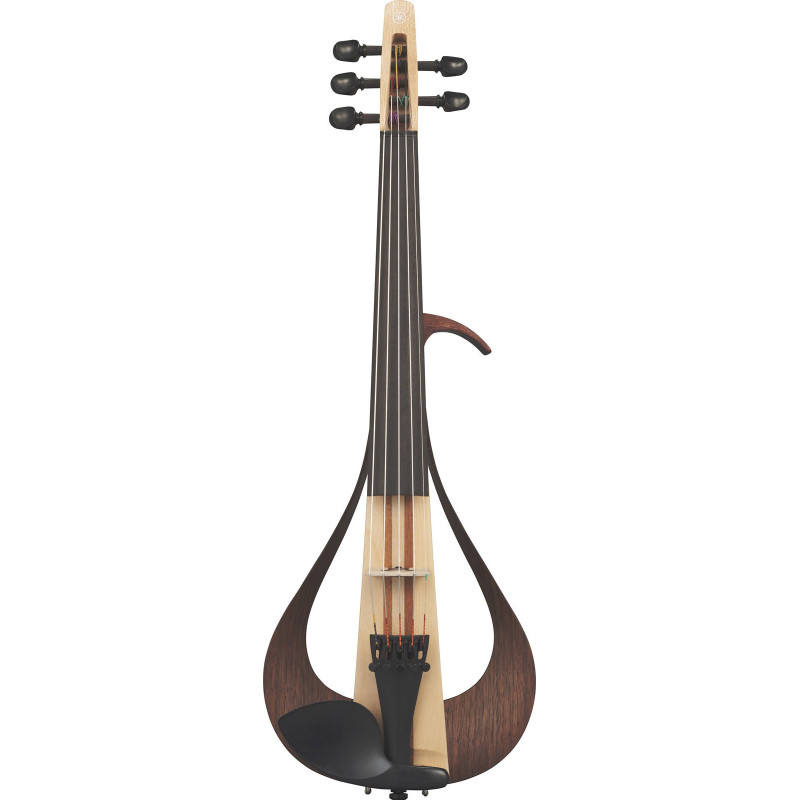 Le violon et les autres types d'intruments associés au violon